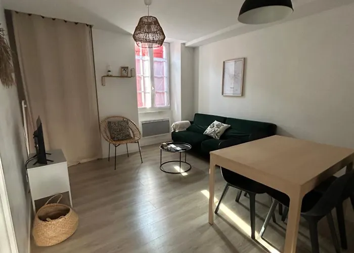 Le Cosy Chic 1 Au Coeur De * Pau